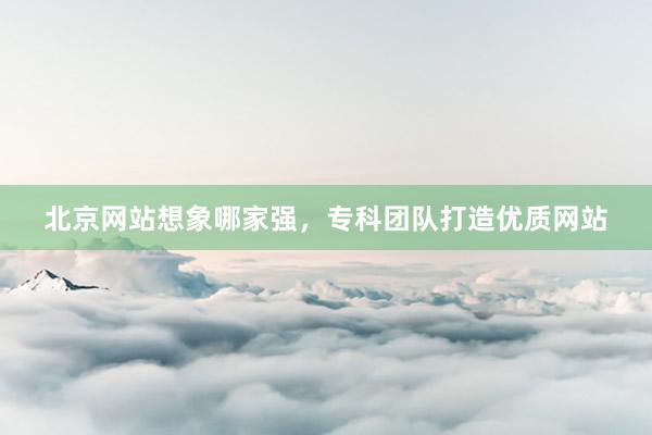 北京网站想象哪家强,专科团队打造优质网站